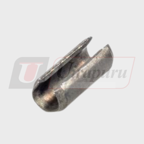 PINO 24321 CARRARO
