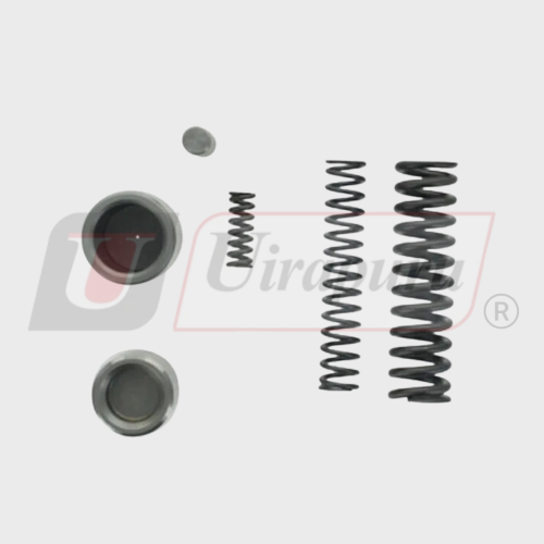 KIT DE VÁLVULAS CARRARO 68426